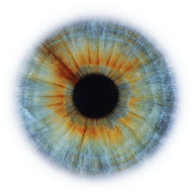 Eye Scapes - 02