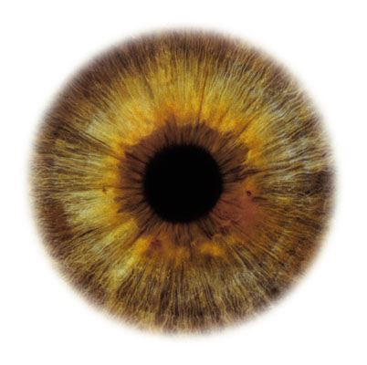 Eye Scapes - 03