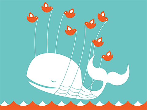 whale.png